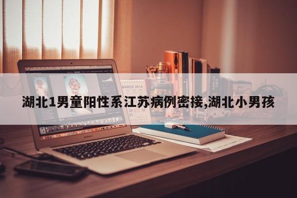 湖北1男童阳性系江苏病例密接,湖北小男孩
